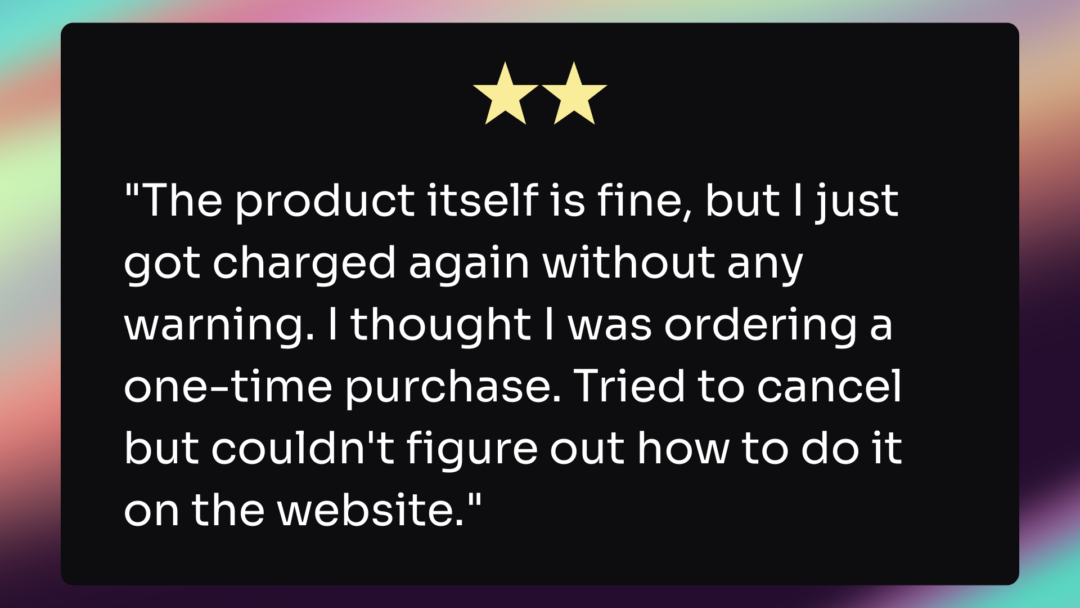 An example of a customer review.